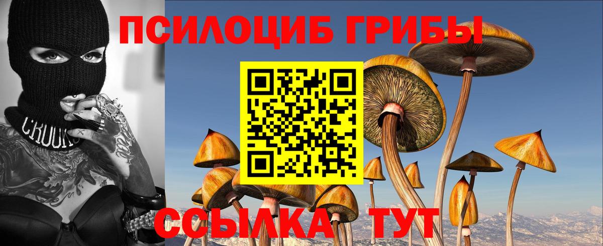 Кохма  Галлюциногенные грибы Magic Shrooms  Псилоцибиновые грибы мицелий  Вход с VPN 